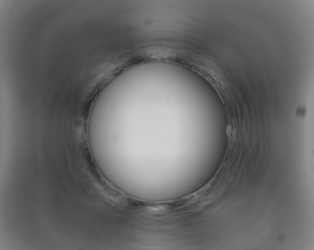 X0000091450411200708161051