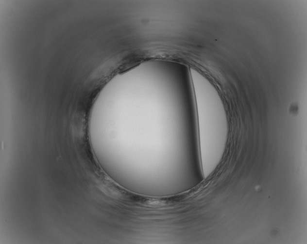 X0000091450413200708161051