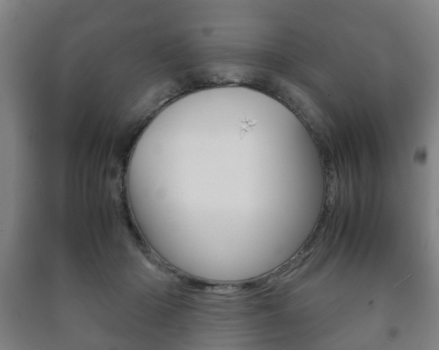 X0000091450414200708161051