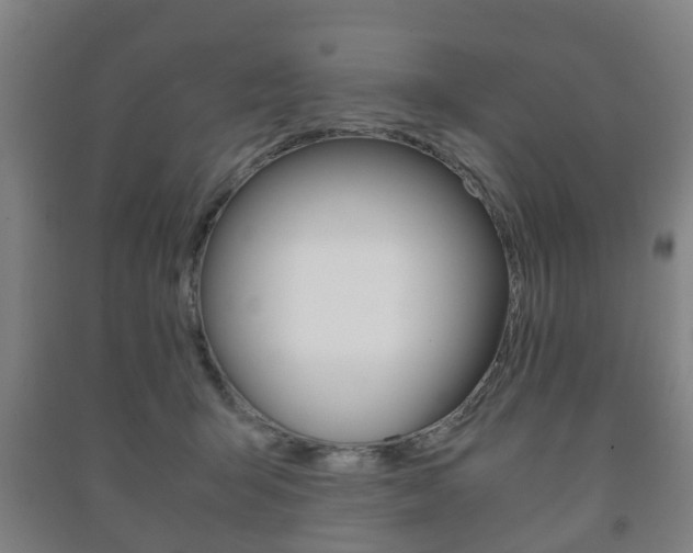 X0000091450415200708161051