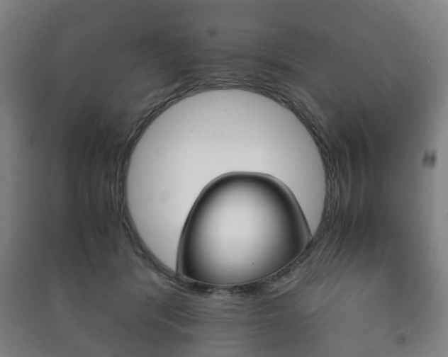 X0000091450416200708161051