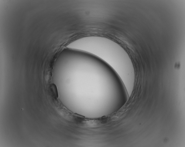 X0000091450417200708161051