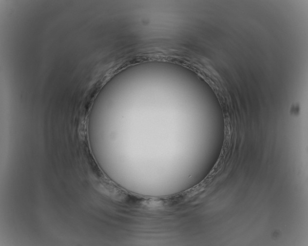 X0000091450419200708161051