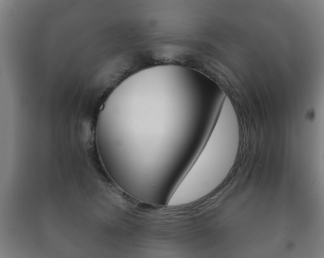 X0000091450420200708161051