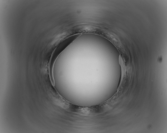 X0000091450423200708161051