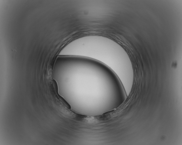 X0000091450425200708161051
