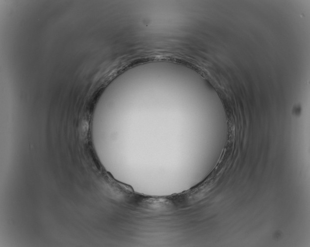 X0000091450427200708161051