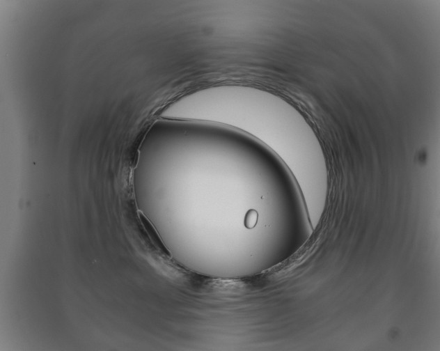 X0000091450429200708161051