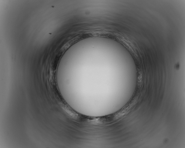 X0000091450430200708161051