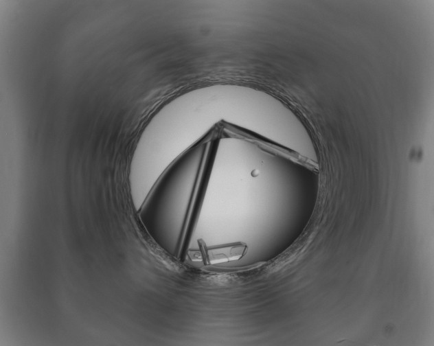 X0000091450432200708161051