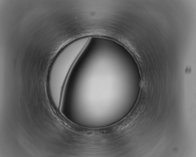 X0000091450434200708161050