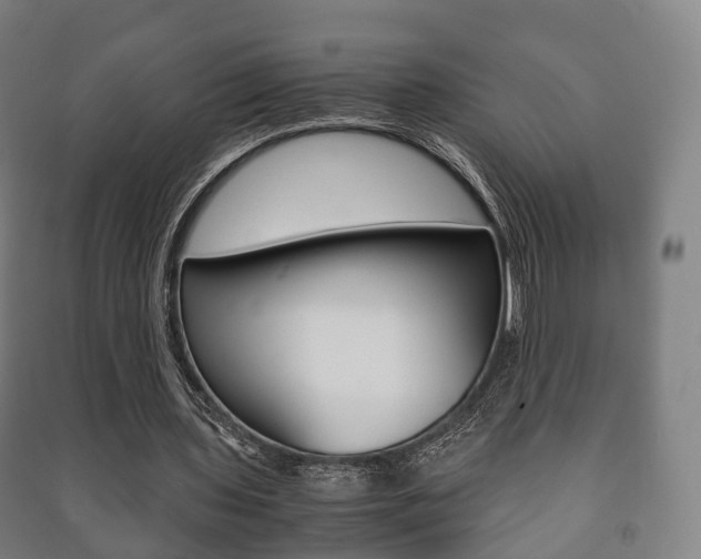 X0000091450435200708161050