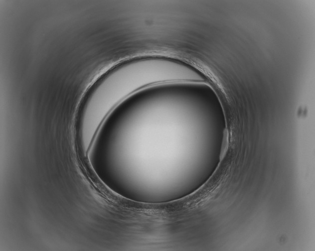 X0000091450436200708161050