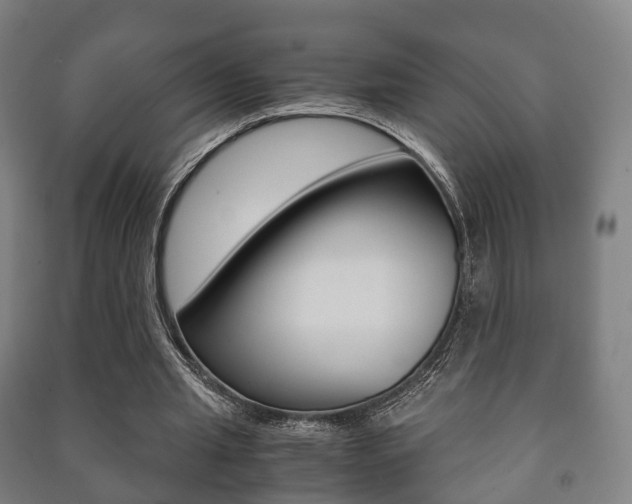X0000091450437200708161050