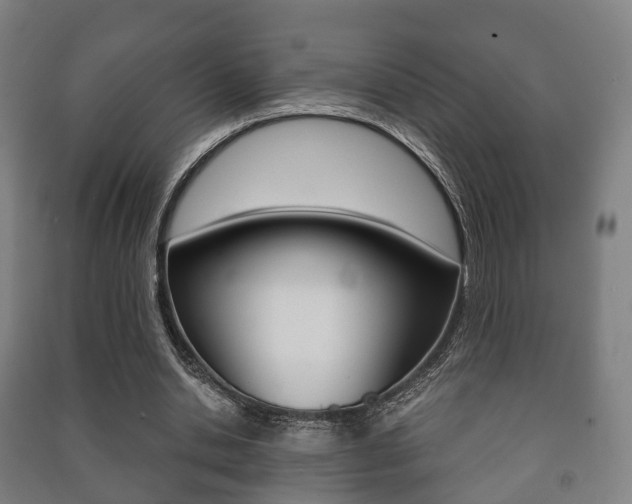 X0000091450438200708161050