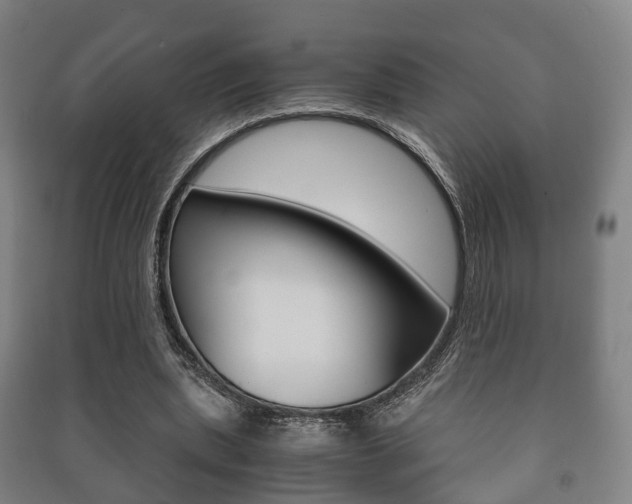 X0000091450439200708161050