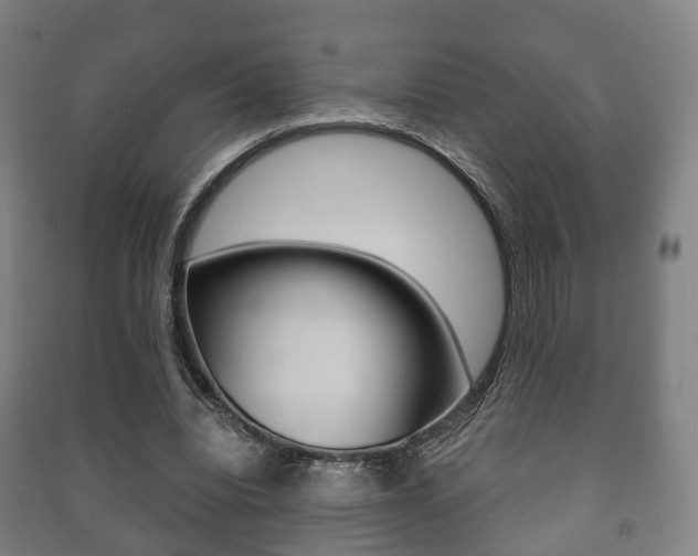 X0000091450440200708161050