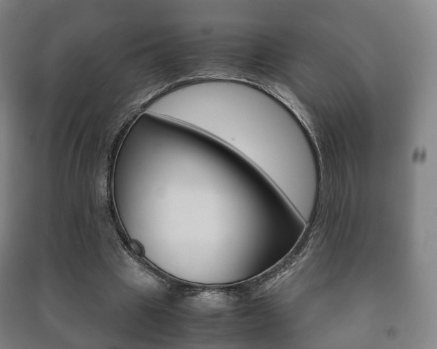 X0000091450441200708161050