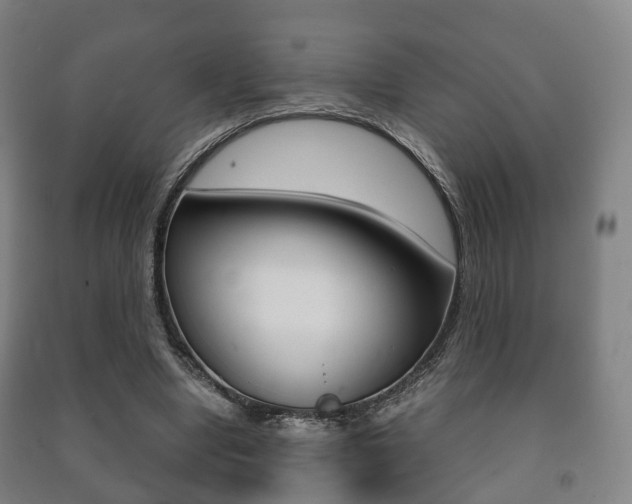 X0000091450442200708161050