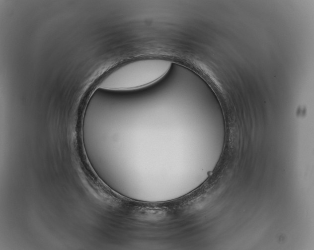 X0000091450443200708161050