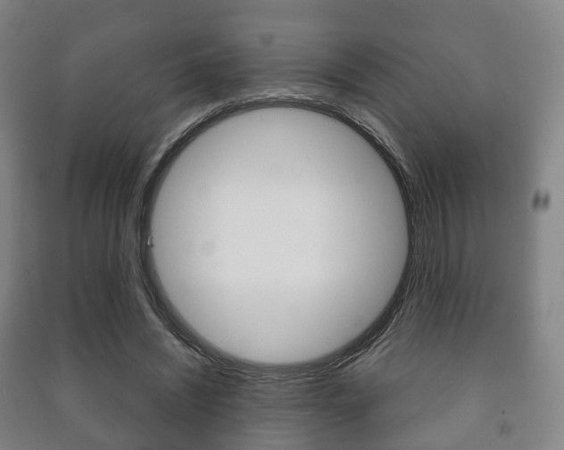 X0000091450444200708161050