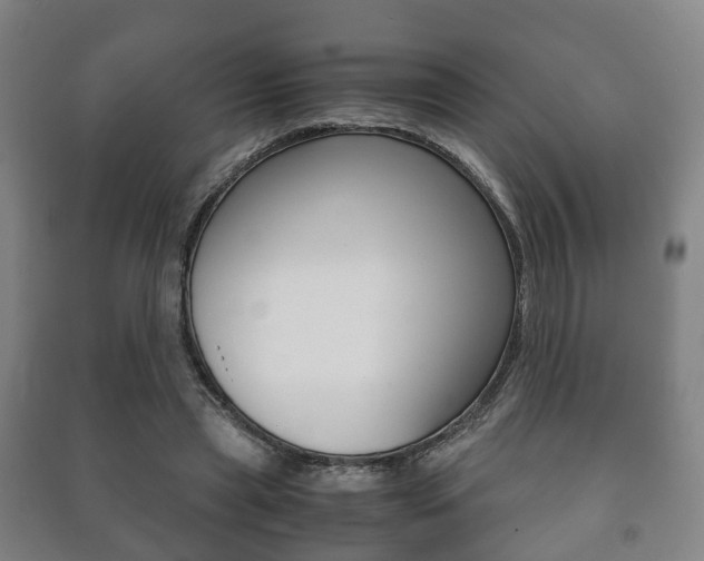 X0000091450445200708161050
