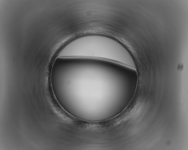 X0000091450446200708161050