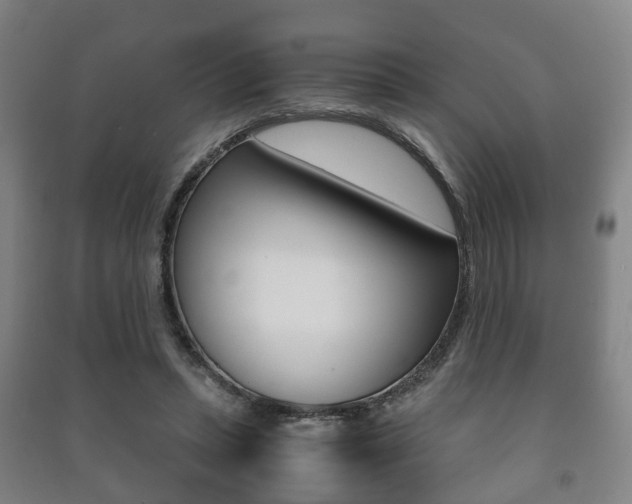 X0000091450447200708161050