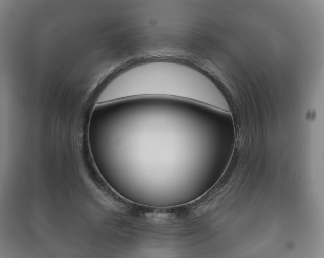 X0000091450448200708161050