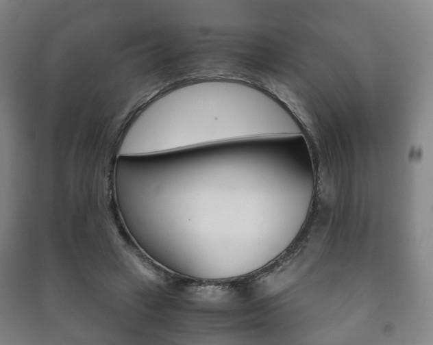 X0000091450449200708161050
