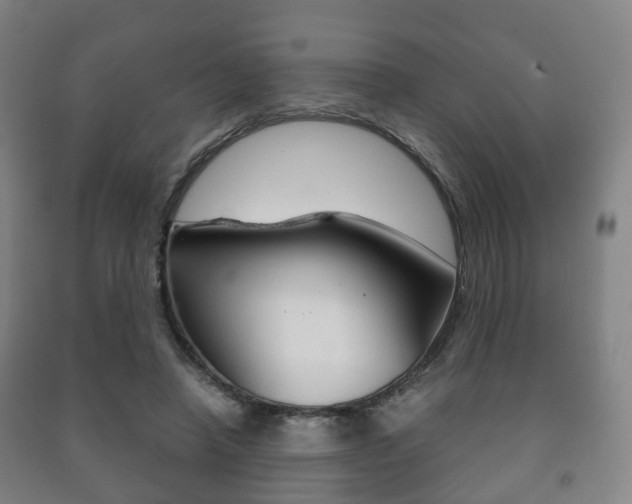 X0000091450450200708161050