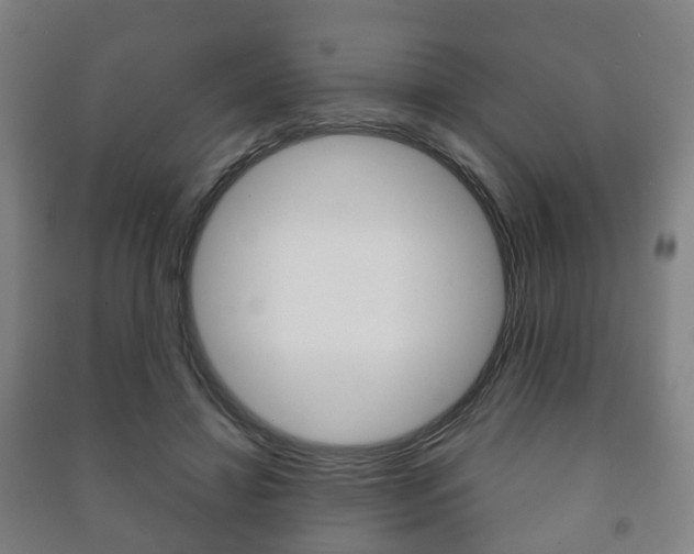 X0000091450452200708161050