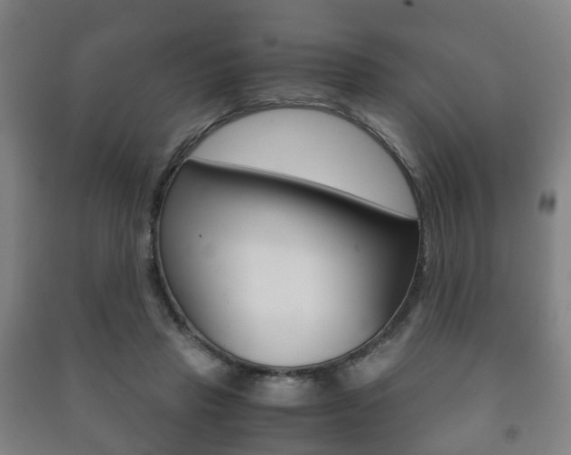 X0000091450453200708161050