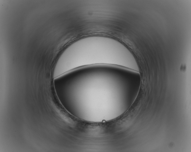 X0000091450454200708161050
