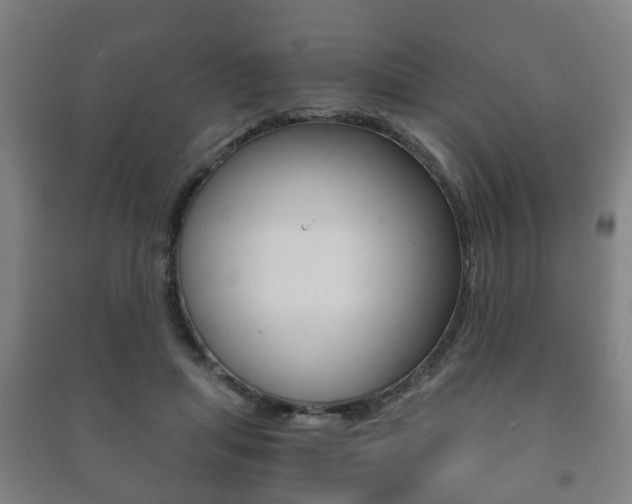 X0000091450455200708161050