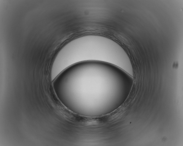 X0000091450456200708161050
