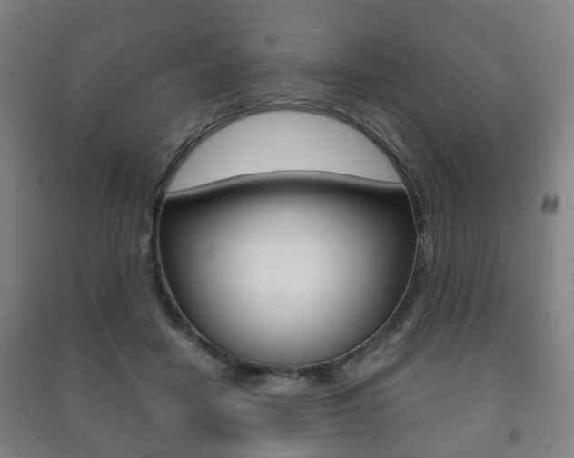 X0000091450458200708161050