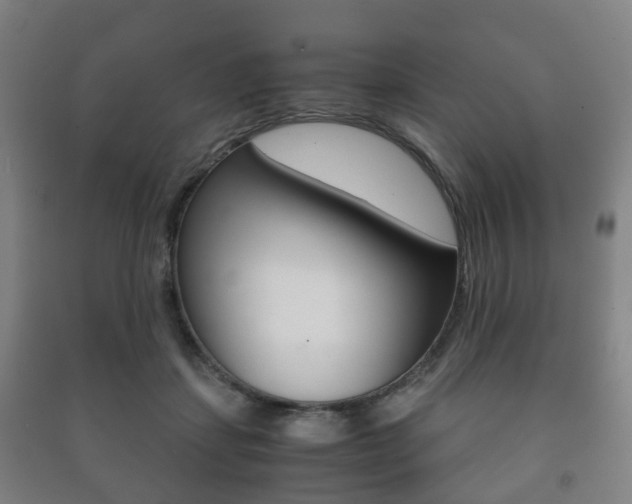 X0000091450459200708161050