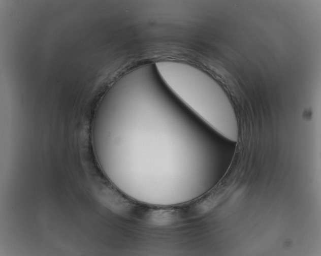 X0000091450461200708161050