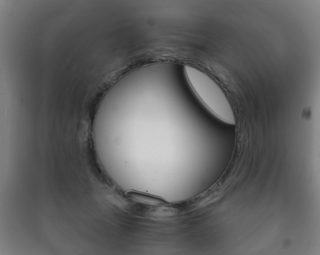 X0000091450463200708161050