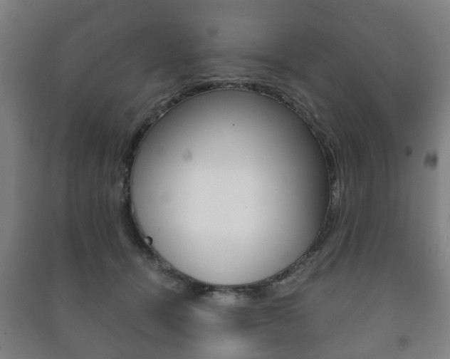 X0000091450464200708161050