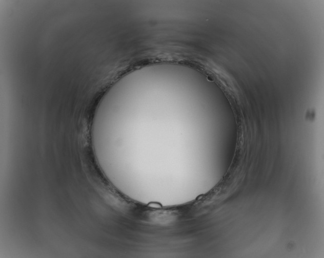 X0000091450465200708161050