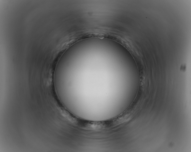 X0000091450466200708161050