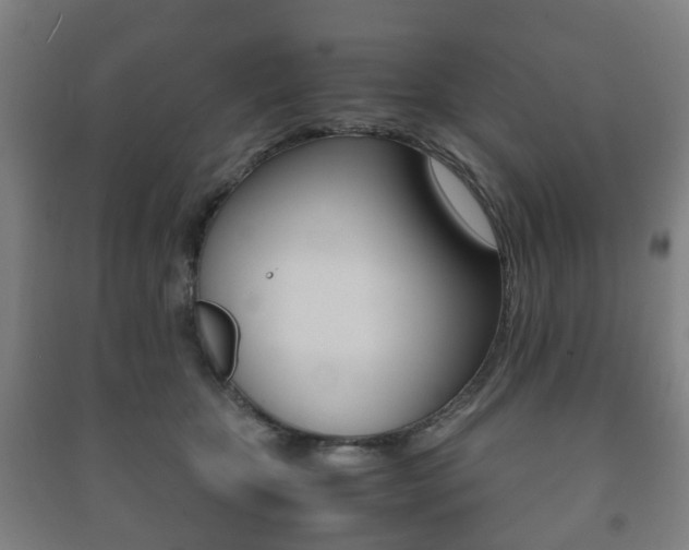 X0000091450467200708161050