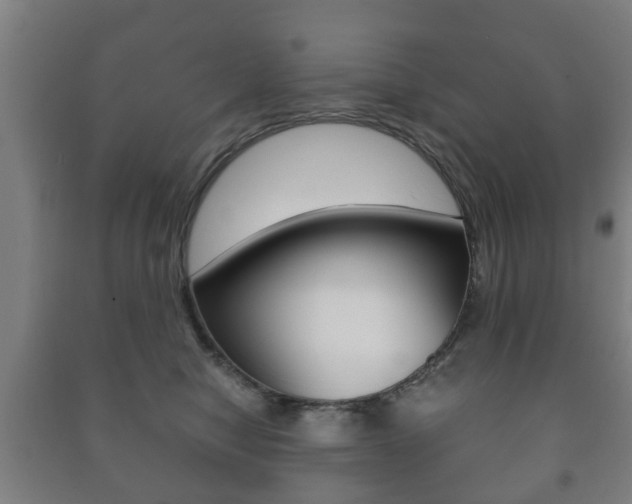 X0000091450470200708161051