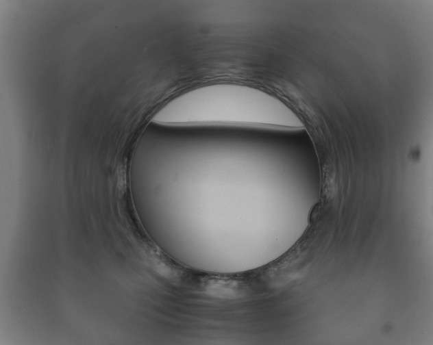 X0000091450471200708161051