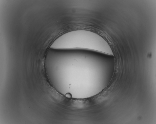 X0000091450473200708161051
