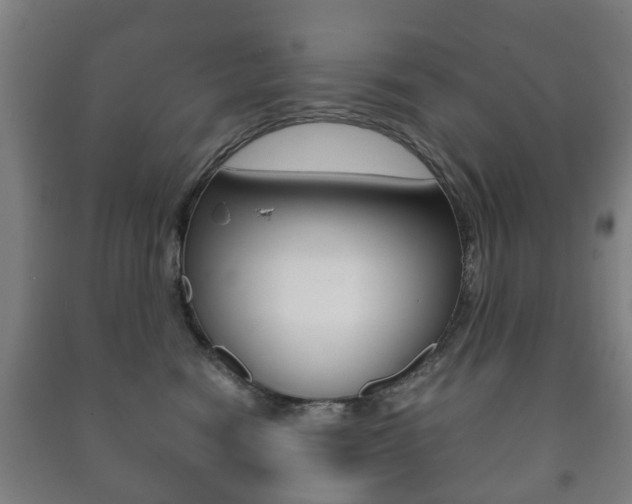 X0000091450474200708161051