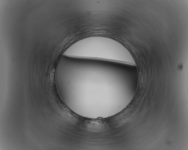 X0000091450475200708161051