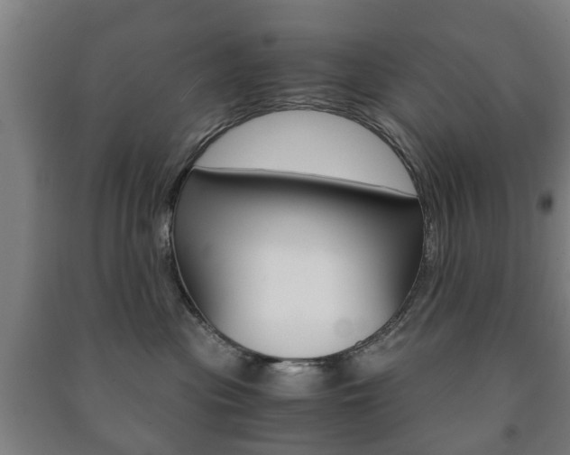 X0000091450477200708161051